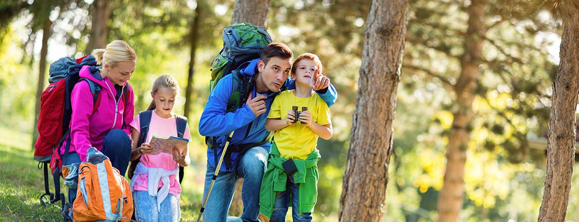 Wandern - Sommerurlaub in Eben im Pongau, Salzburger Land