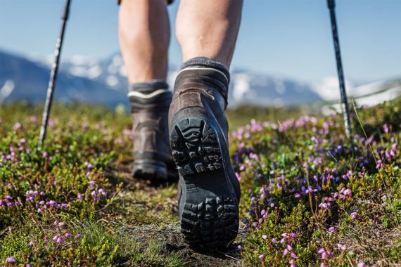Wandertouren in der Region, Sommerurlaub in Eben im Pongau, Salzburger Land